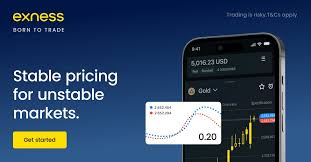 Discovering Exness Social Trading A New Era in Forex Trading